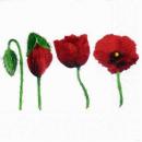 028 Anemonen, Mohn - 3-lagig (weiß)
